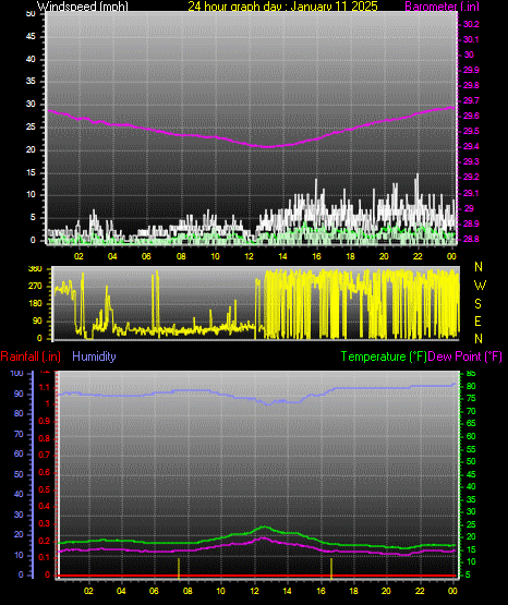24 Hour Graph for Day 11